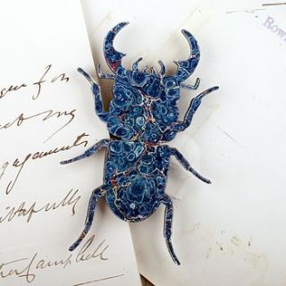 stag beetle brooch by helen ward studio