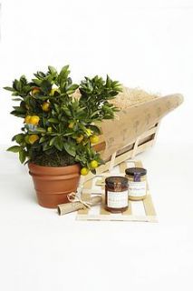 a year of gardening gifts by the gluttonous gardener