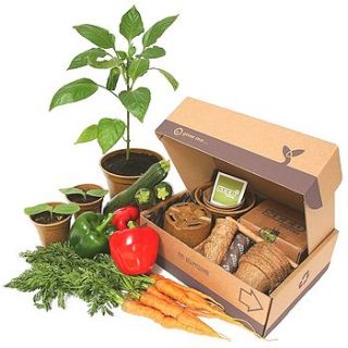 dad pack jumbo summer allotment by seed pantry