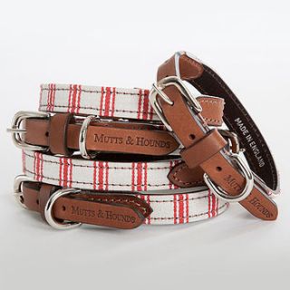 ticking stripe & leather dog collar by mutts & hounds