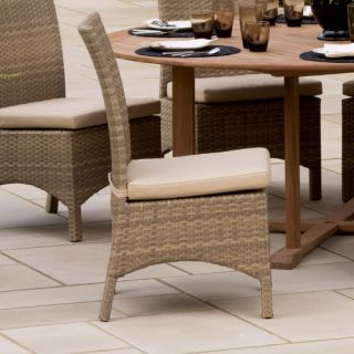 Torbay Dining Side Chairs with Cushions (Set of 2)