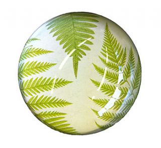 fern paperweight by natural history