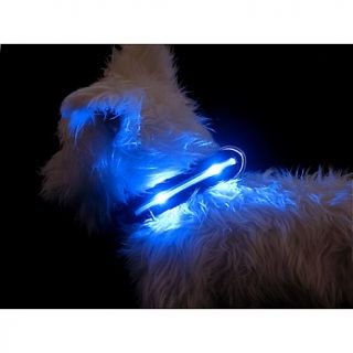 Mhu Ghu for Royal Treatment Battery Operated LED Collar