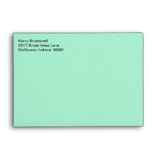 Business Contemporary Light Mint Envelope