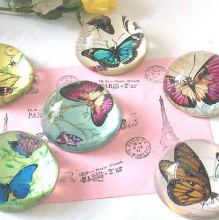 butterfly paperweights by olivia sticks with layla