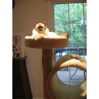 Molly and Friends "Tunnel of Fun" Premium Handmade 3 Tier Cat Tree with Sisal, Model 243, Beige  Cat Furniture 