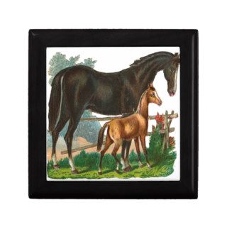 Vintage, Black Horse & Little Brown Horse Jewelry Box