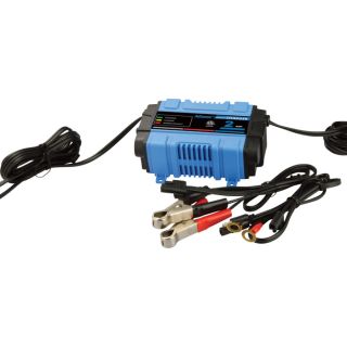 NPower Battery Charger/Maintainer — 2 Amp  Battery Chargers