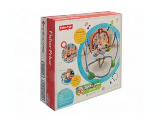 Fisher Price Jumperoo   Laugh n Learn Multi