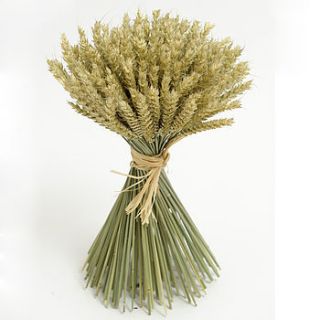 wheat sheaf by shropshire petals