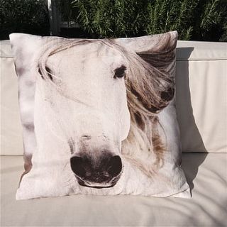 wild palomino horse cushion by london garden trading