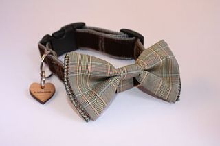 astaire bow tie collar by scrufts