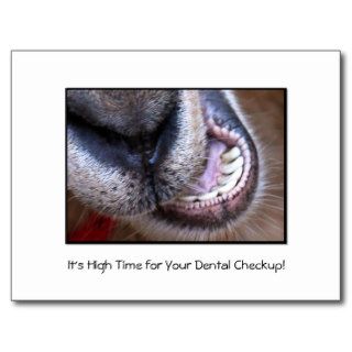 Funny Dental Checkup Appointment Reminder Goat Post Card