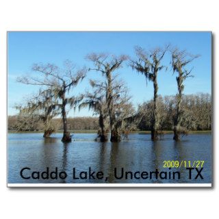 Rally 2009 058, Caddo Lake, Uncertain TX Postcards