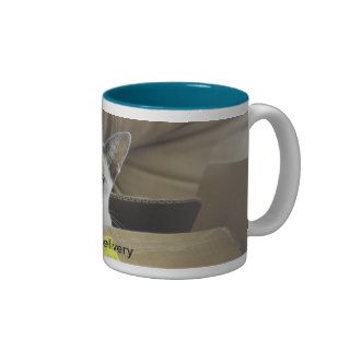Special Delivery Blue Eyed Cat in Box Mug