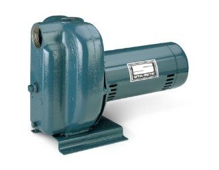 Pentair DS2HF 192PL Single Phase Self Priming High Head Centrifugal Pool and Spa Pump, 115/230 Volt, 1 1/2 HP  Industrial Centrifugal Pumps  Patio, Lawn & Garden