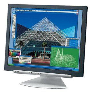 Sharp LL191A B 19 Inch LCD Monitor ( Windows PC / Mac ) Electronics