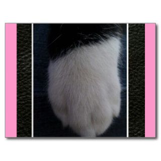 Lucky Kitty Cat's foot Post Card