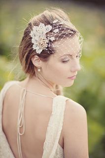 persephone birdcage veil by silver sixpence in her shoe