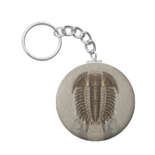 Trilobite Fossil Keychain