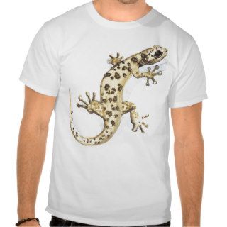 Reptile Shirts