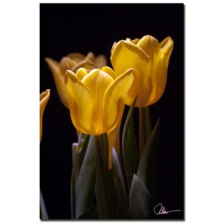 Trademark Fine Art Yellow Blooms by Martha Guerra Photographic Print