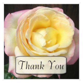 Peace Rose Thank You Cards Announcement