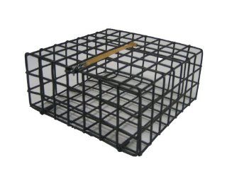 Promar Wire Bait Cage, 6 Inch X 6 Inch X 3 Inch  Fishing Bait Storage  Sports & Outdoors