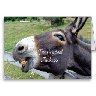The Original Jackass Funny Donkey Mule Farm Animal Greeting Cards
