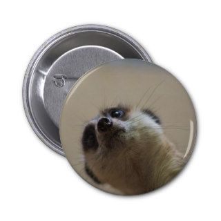 Meerkat Looking Dramatic Pinback Buttons