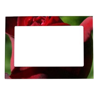 Elegant Red Velvet Rose Magnetic Frames