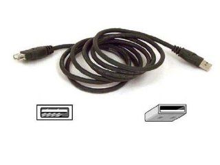 New   Pro Series USB A/B Extention Cable 6 ft   F3U134 06 Computers & Accessories