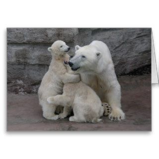 Polar Bear Cubs And Mother Greeting Cards