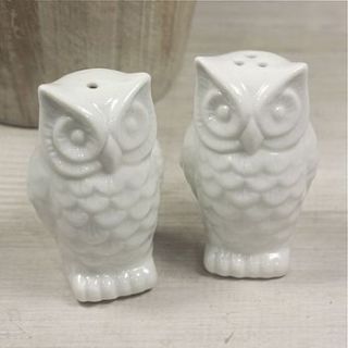 owl salt and pepper set by lisa angel homeware and gifts