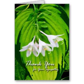 Thank You for Sympathy, Hosta Blooms Card