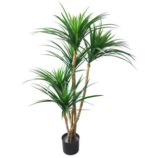 Romano 51 inch Indoor/ Outdoor UV Resistant Tropical Yucana Tree Silk Plants
