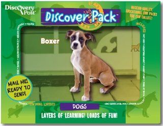 Dog Discover Pack, Boxer Toys & Games
