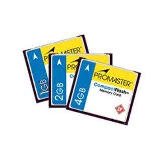 PRO 2 GB 105X Compact Flash Card Computers & Accessories