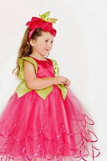 pixiebell fairy party dress with head band by frilly lily