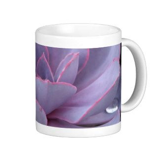 Echeveria 'Perle von Nurnberg' mug