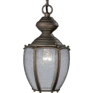 Progress Lighting P5565 19 Chain or Ceiling Mount Lantern with Clear Seeded Glass Chain and Ceiling Mountings Both Included, Roman Bronze   Close To Ceiling Light Fixtures  