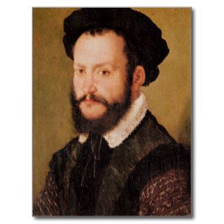 Portrait of a Man with Brown Hair, c.1560 Postcards