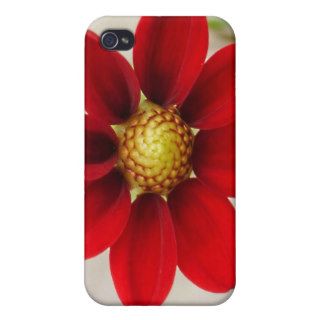 Red Dahlia iPhone Case Case For iPhone 4