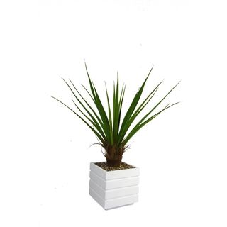 Laura Ashley 50 inch Tall Agave Cocoa Skin Plant And 14 inch Fiberstone Planter