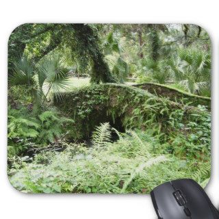 Ocala Florida Forest Footbridge mousepad photo art