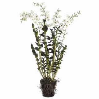Tori Home 58 Dendrobium Orchid Plant with Soil and Root