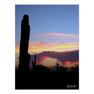 Sonoran Sunset 133 Print