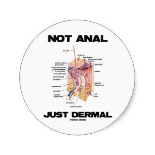 Not Anal Just Dermal (Layers Of Skin Dermatology) Round Sticker