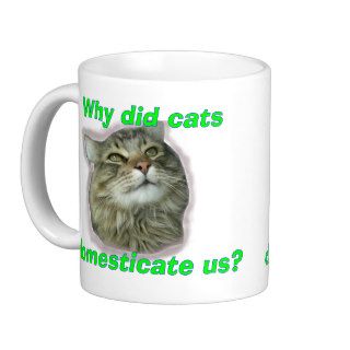 Why did cats domesticate us? coffee mug
