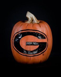 University of Georgia Bulldogs UGA Pumpkin Halloween Decoration  Sports Fan Home Decor  Sports & Outdoors